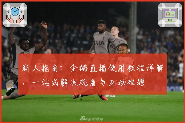 新人指南：企鹅直播使用教程详解，一站式解决观看与互动难题