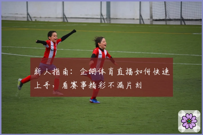 新人指南:企鹅体育直播如何快速上手,看赛事精彩不漏片刻