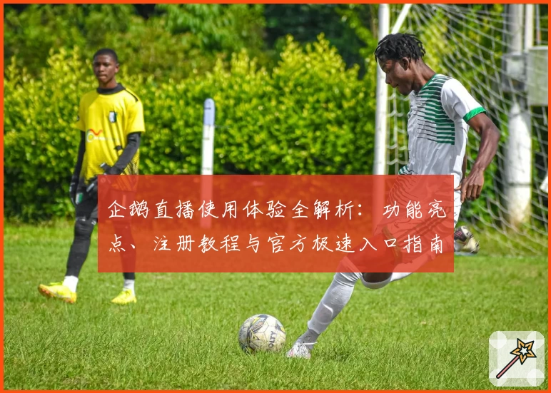 企鹅直播使用体验全解析：功能亮点、注册教程与官方极速入口指南
