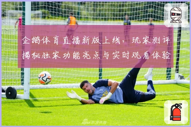 企鹅体育直播新版上线，玩家测评揭秘独家功能亮点与实时观看体验
