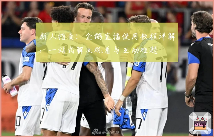 新人指南：企鹅直播使用教程详解，一站式解决观看与互动难题