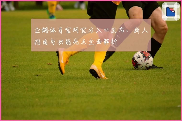 企鹅体育官网官方入口发布，新人指南与功能亮点全面解析