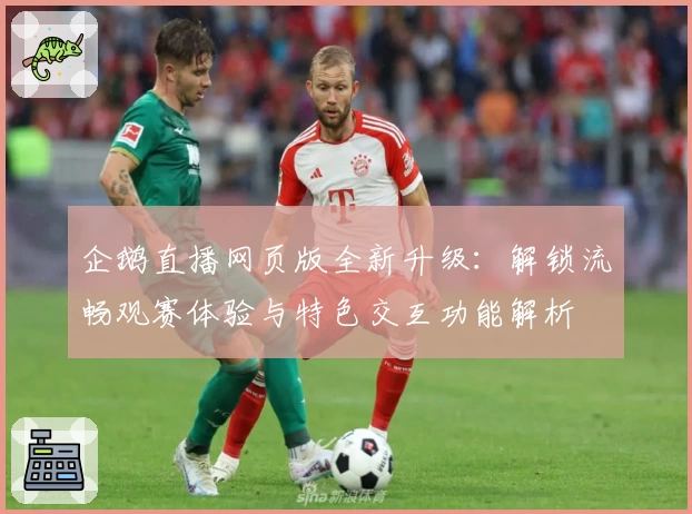 企鹅直播网页版全新升级：解锁流畅观赛体验与特色交互功能解析