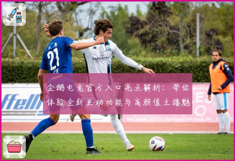 企鹅电竞官方入口亮点解析：带你体验全新互动功能与高颜值主播魅力