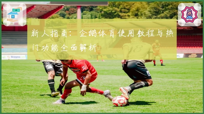 新人指南：企鹅体育使用教程与热门功能全面解析