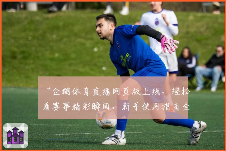 “企鹅体育直播网页版上线，轻松看赛事精彩瞬间，新手使用指南全解析”