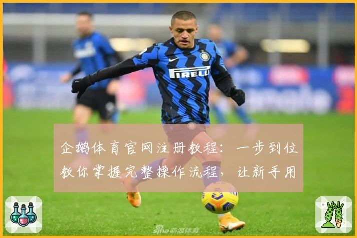 企鹅体育官网注册教程：一步到位教你掌握完整操作流程，让新手用户轻松上手